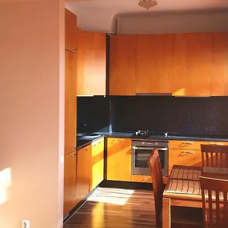 公寓 Center 塔林