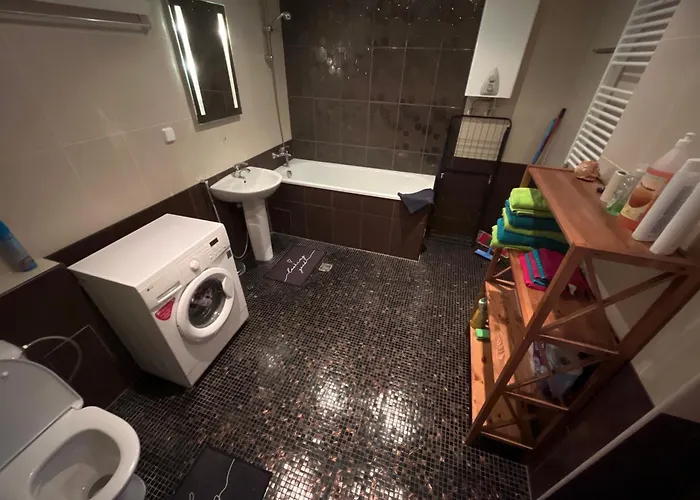 Center 公寓 塔林